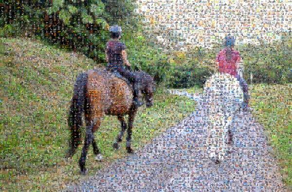 Horseback Riding photo mosaic