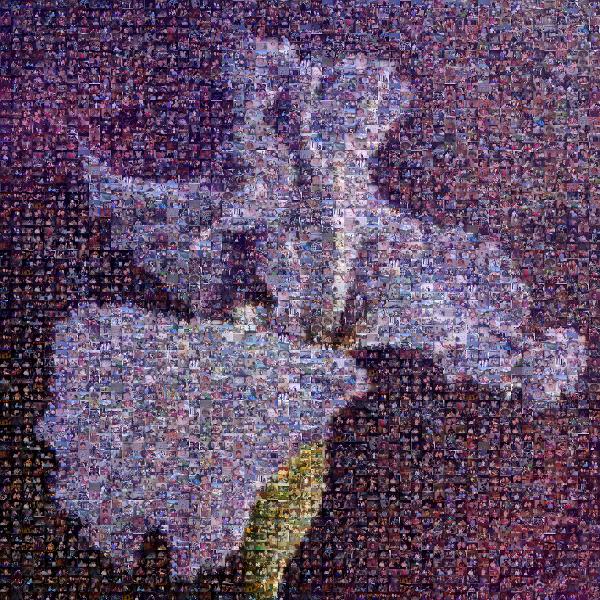 A Lovely Purple Flower photo mosaic