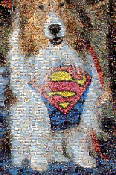 Super Dog photo mosaic