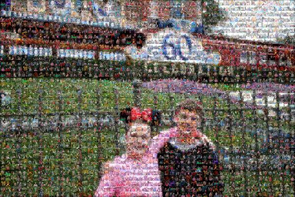 Disneyland photo mosaic