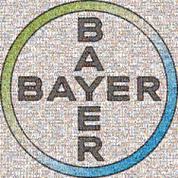 Bayer photo mosaic
