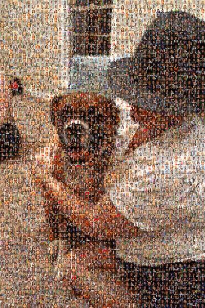 A Faithful Dog photo mosaic