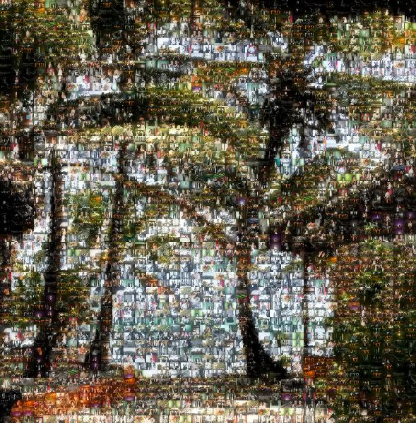 Palms photo mosaic