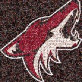 coyotes arizona sports teams pride unity mascots animals graphics symbols hockey athletes