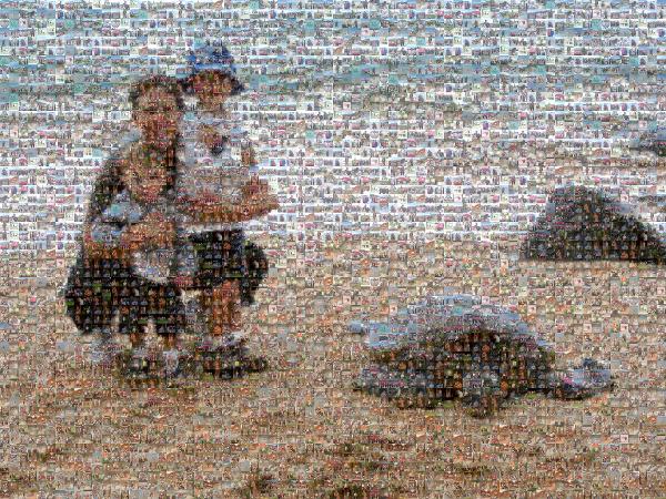 A Seaside Photo Op photo mosaic