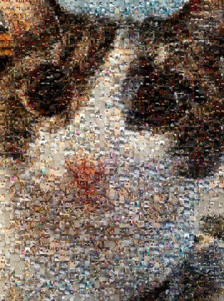 Icy the Cat photo mosaic