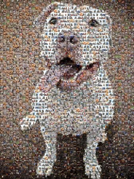 Happy Puppy photo mosaic