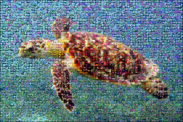 Sea Turtle photo mosaic