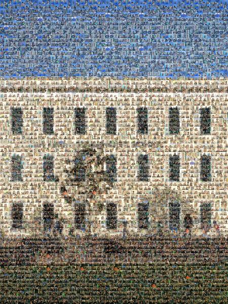 School Building photo mosaic