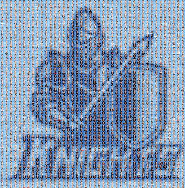 Knights Logo photo mosaic