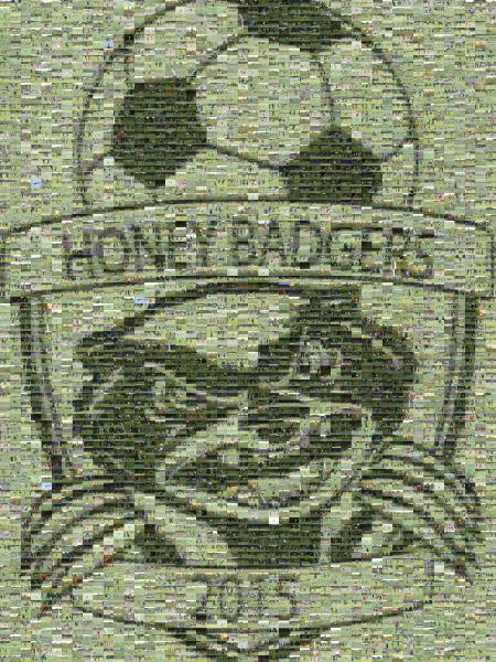 Honey Badgers Soccer photo mosaic