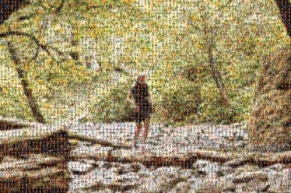 Nature Walk photo mosaic