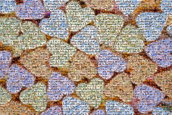 Valentine's Hearts photo mosaic