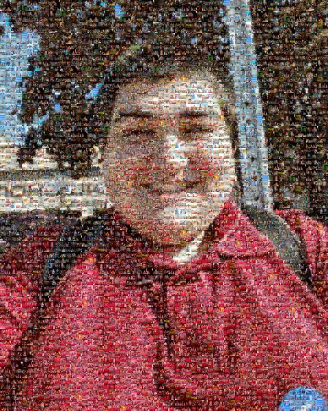 Selfie photo mosaic
