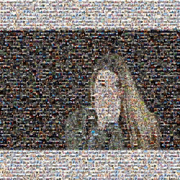 Distant Shot of a Young Girl photo mosaic