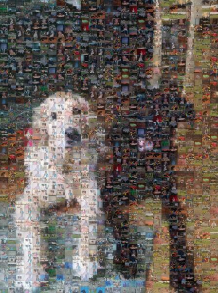 Our Dogs photo mosaic