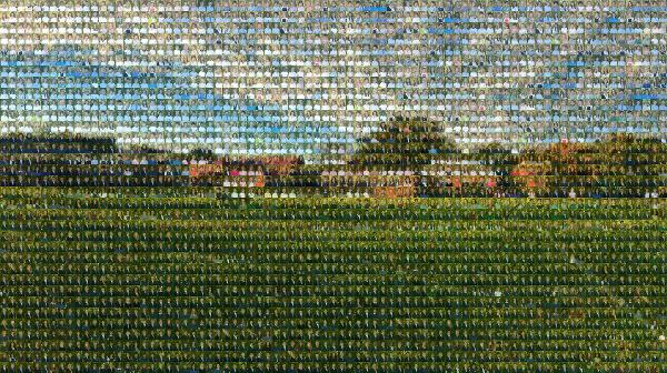A School Campus photo mosaic