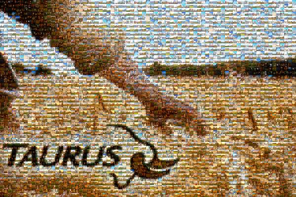 Taurus photo mosaic