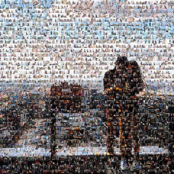 Romantic Couple photo mosaic