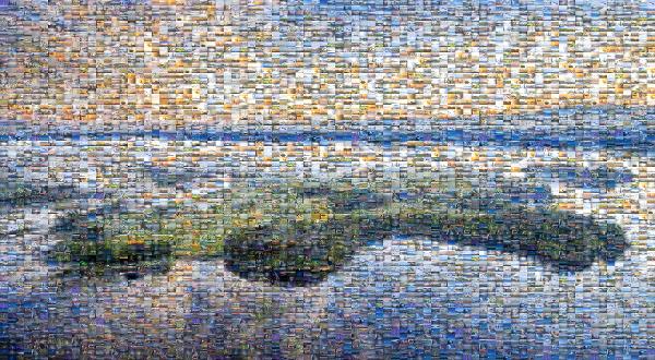 Serene Landscape photo mosaic
