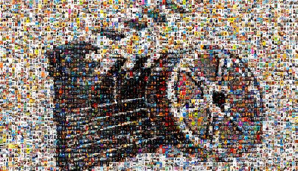 Films Across the Years photo mosaic