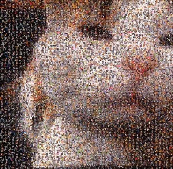 Kitty Close Up photo mosaic