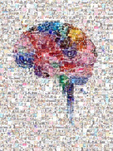 Brain Illustration photo mosaic