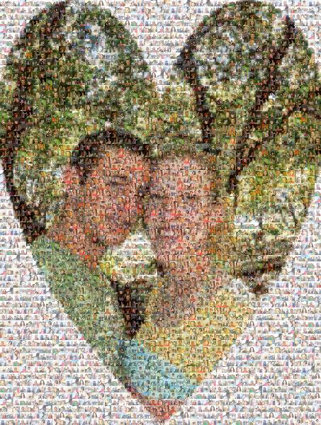Heart Portrait photo mosaic