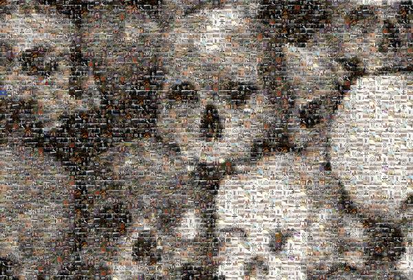 Skulls photo mosaic