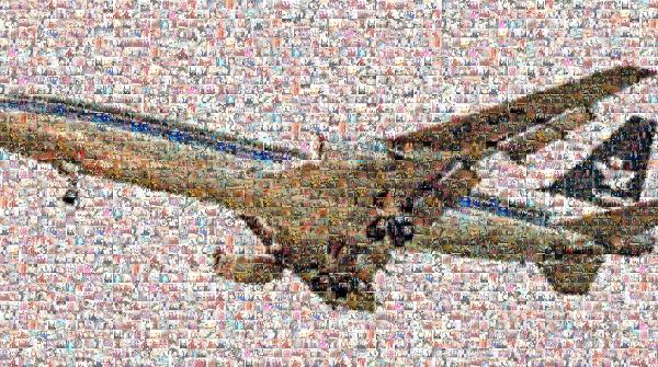 Boeing 737 photo mosaic