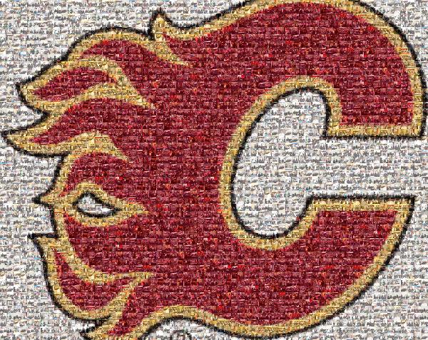 Calgary Flames photo mosaic