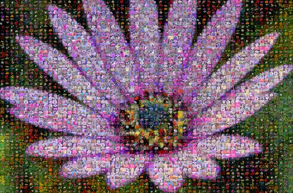 Flowers photo mosaic