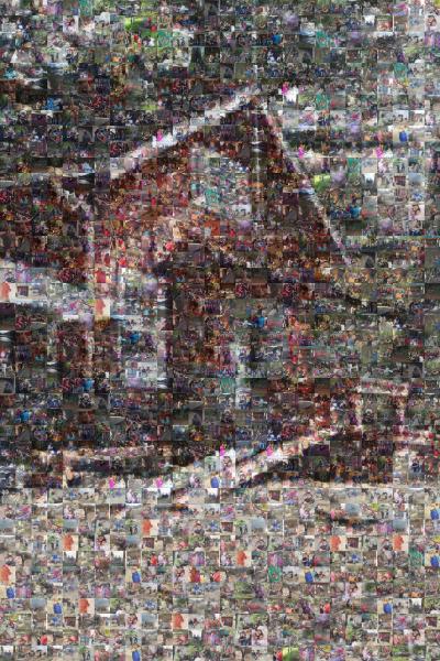 Lake House photo mosaic