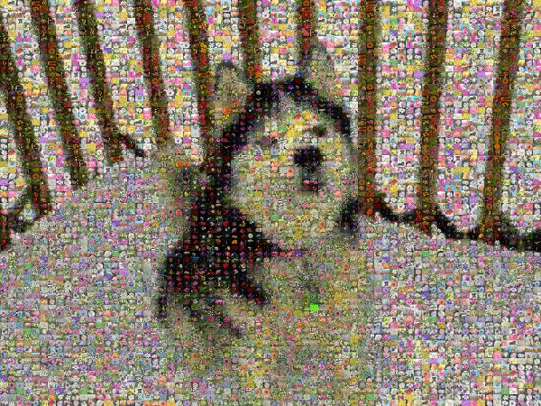 Husky in the Snow photo mosaic