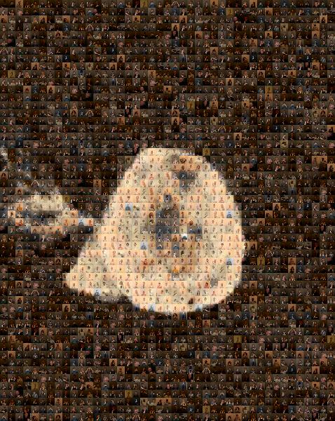 A Floating Jellyfish photo mosaic
