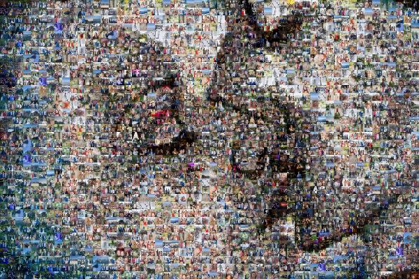 A Creative Kiss photo mosaic