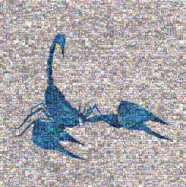 Scorpion photo mosaic