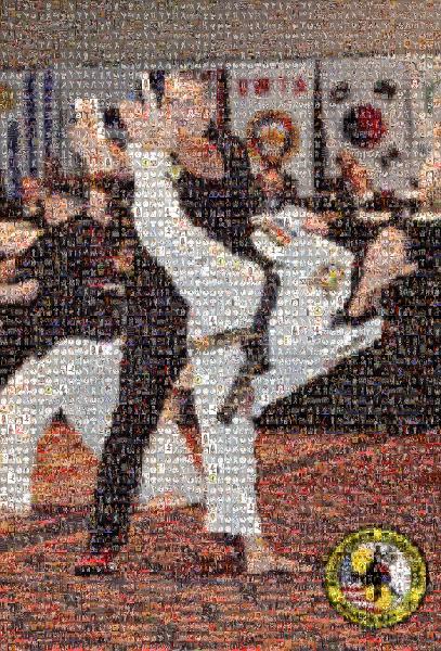 Martial Arts photo mosaic