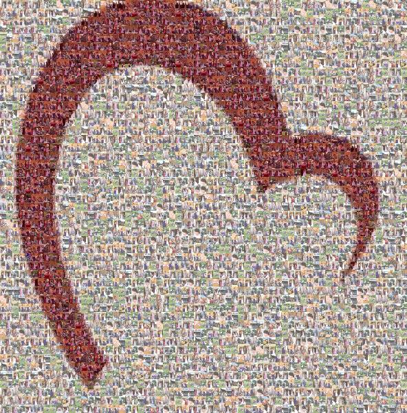 An Open Heart photo mosaic
