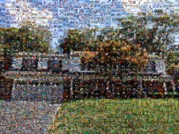A Suburban Home photo mosaic