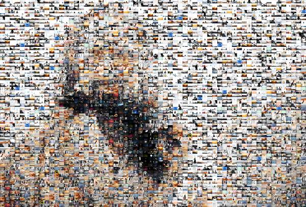 A Portrait of Jesus photo mosaic