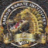 Karate Institute badges shields labels logos crests ribbons graphics text words titles names letters type dragons