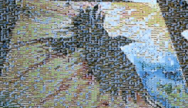 Soaring Crow photo mosaic