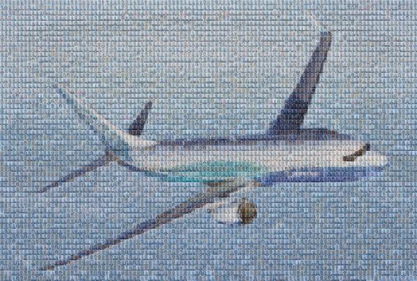 In Flight photo mosaic