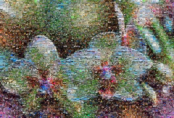 Flowers photo mosaic