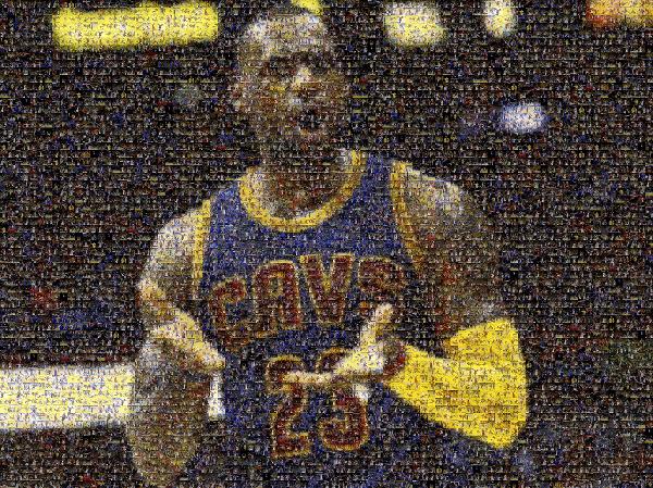 LeBron James photo mosaic