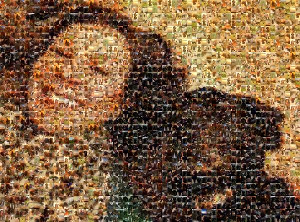 A Pup & Her Person photo mosaic