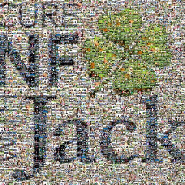 Find a Cure photo mosaic