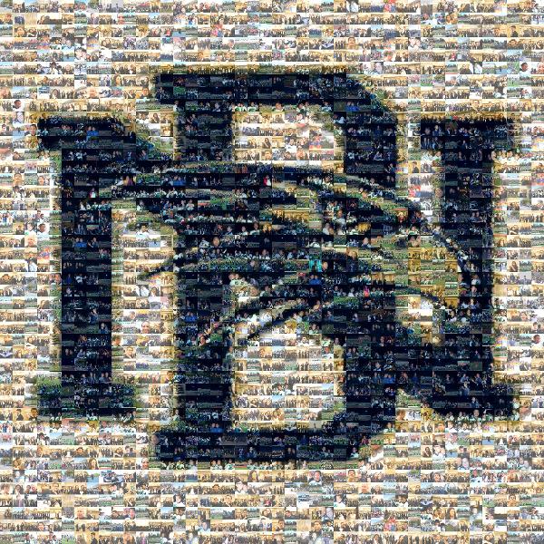 A School Logo photo mosaic