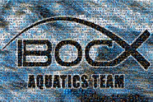 Aquatics Team photo mosaic